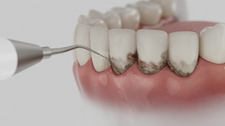 Reliable Dental contractor in Columbia Falls, MT by Dentist Open Now